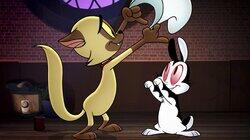 Never Been Scared Never Been Scared