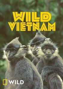 Wild Vietnam