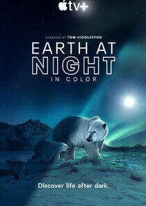 Earth at Night in Color