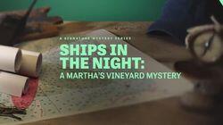 Ships in the Night: A Martha's Vineyard Mystery