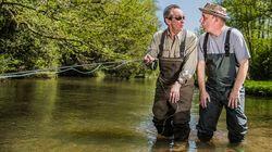 Sea Trout in Dorset