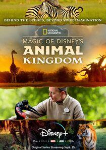 Magic of Disney's Animal Kingdom