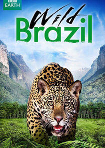 Wild Brazil