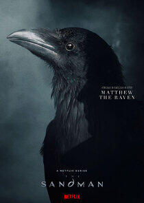 Matthew the Raven