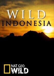 Destination Wild: Indonesia