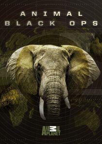 Animal Black Ops - Season 1