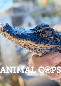 Animal Cops: Miami - Season 1