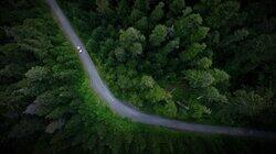 Tree vs. Truck