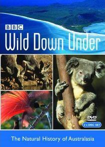 Wild Down Under