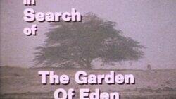 The Garden of Eden