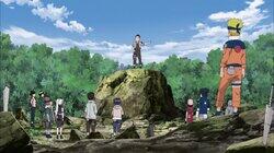 The Caged Bird The Caged Bird