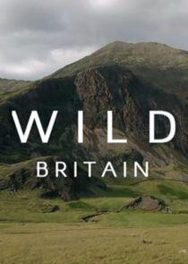 Wild Britain