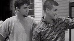 Drag Strip Dobie Drag Strip Dobie