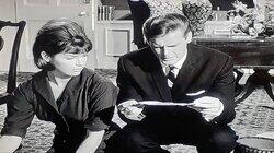 The Well-Meaning Mayor The Well-Meaning Mayor