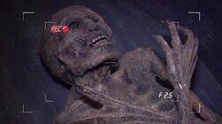 Show Me the Mummy Show Me the Mummy