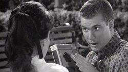 Have You Stopped Beating Your Wife? Have You Stopped Beating Your Wife?