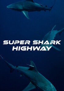 Super Shark Highway