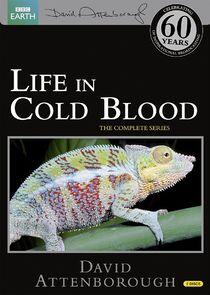 Life in Cold Blood