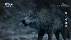 Episode 11 Episode 11