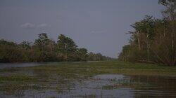 A Trinity River Murder