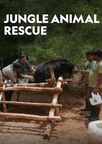 Jungle Animal Rescue