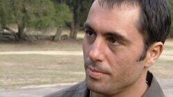 Net Jump; Wormtinis; Tunnel Crawl Net Jump; Wormtinis; Tunnel Crawl