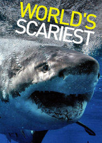 World's Scariest...