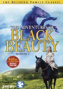 The Adventures of Black Beauty - Season 1