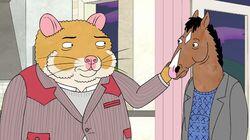 The BoJack Horseman Show