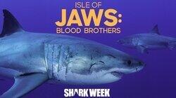 Isle of Jaws: Blood Brothers