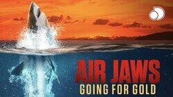 Air Jaws: Going for Gold