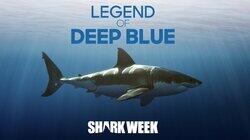 Legend of Deep Blue