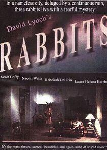 Rabbits