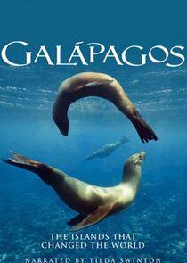 Galapagos