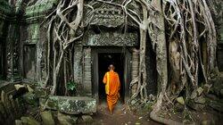 Jungles - People of the Trees Jungles - People of the Trees