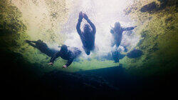 Free Diving