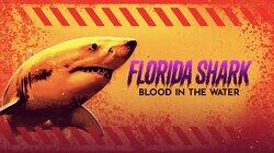 Florida Shark: Blood in the Water