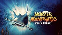 Monster Hammerheads: Killer Instinct