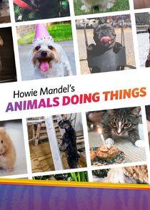 Howie Mandel's Animals Doing Things