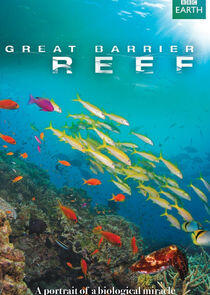 Great Barrier Reef