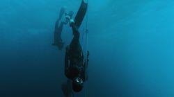 Freediving