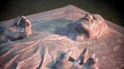 Han Solo, Polar Derby Han Solo, Polar Derby