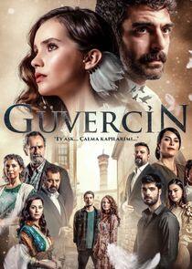 Güvercin