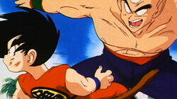 Final Match: Goku vs. Tien Shinhan