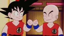 Goku vs. Krillin