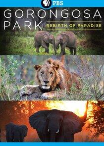 Gorongosa Park: Rebirth of Paradise