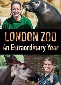 London Zoo: An Extraordinary Year