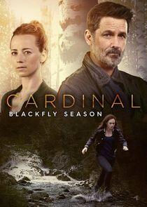 Cardinal - Season 2