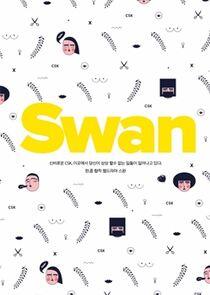 Swan