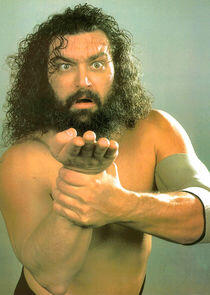 Bruiser Brody